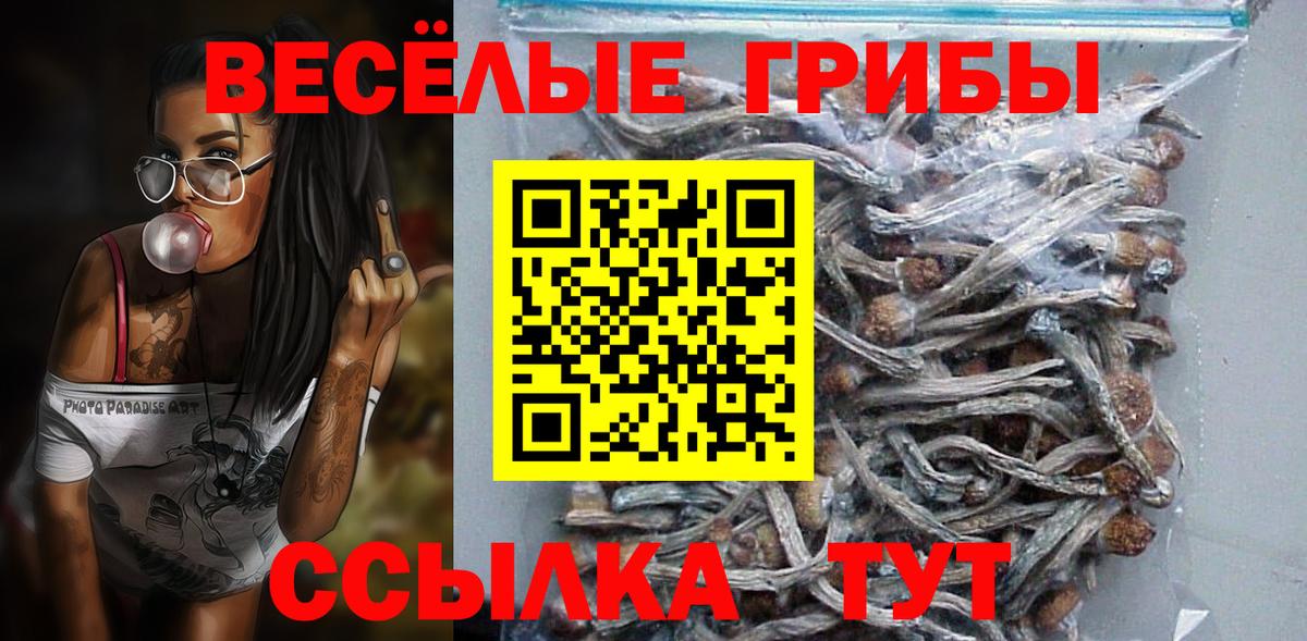 Псилоцибиновые грибы прущие грибы Жуковский