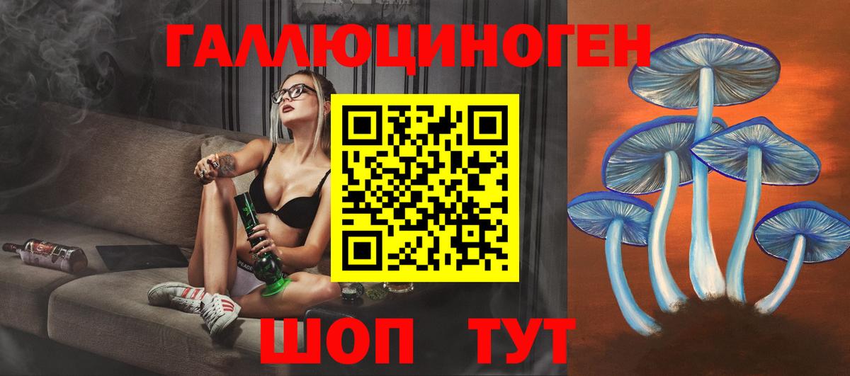 Галлюциногенные грибы прущие грибы  где можно купить наркотик  Жуковский  Вход с VPN 